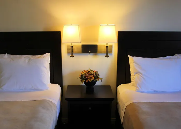 Travelodge By Wyndham Prince Albert
